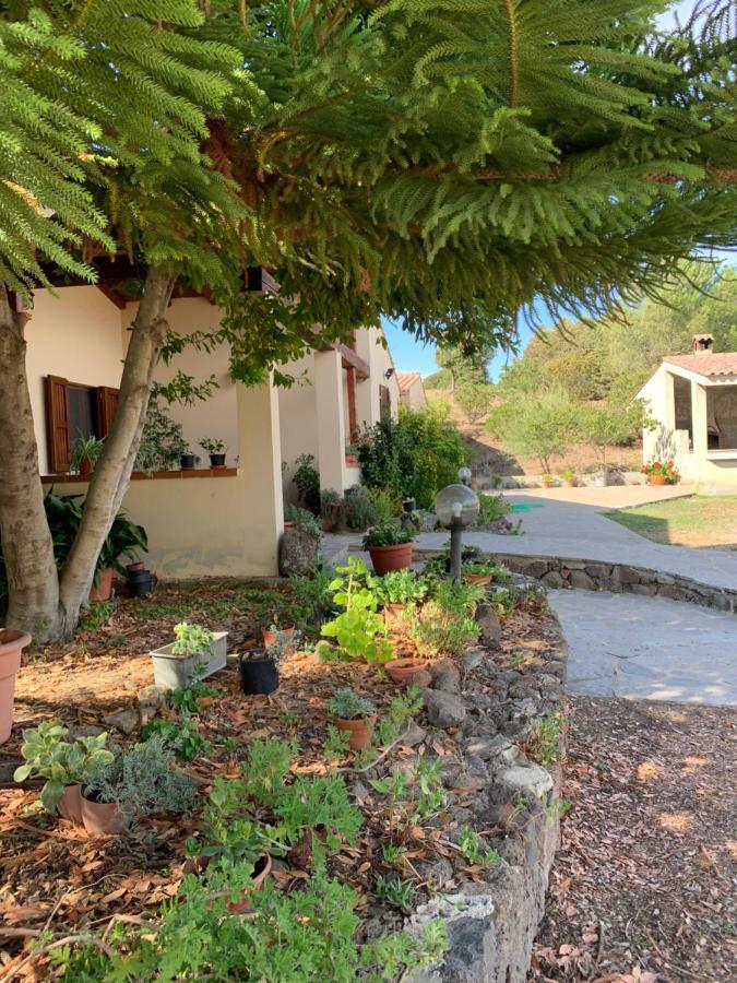 Villaurbana Agriturismo Terra Noas מראה חיצוני תמונה